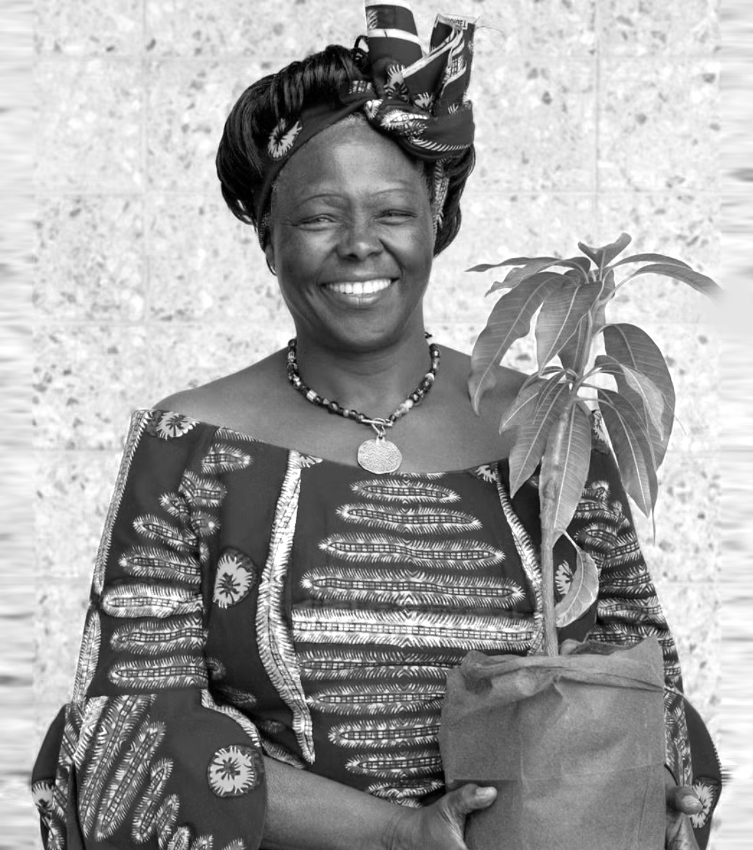 Photo of Wangarĩ Maathai