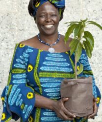 Kenyan Hero: Wangari Maathai